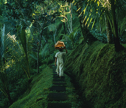 Clean Energy, Reliable Power